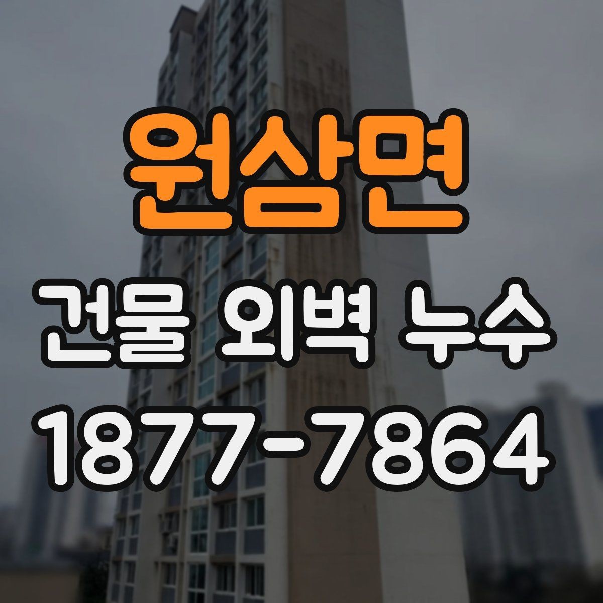 원삼면 건물 외벽 누수 처리 과정에서 확인할 점