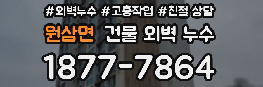 원삼면 건물 외벽 누수