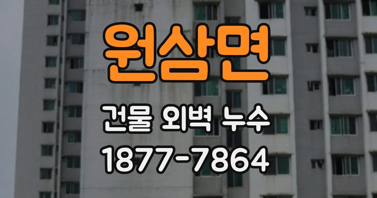 원삼면 건물 외벽 누수