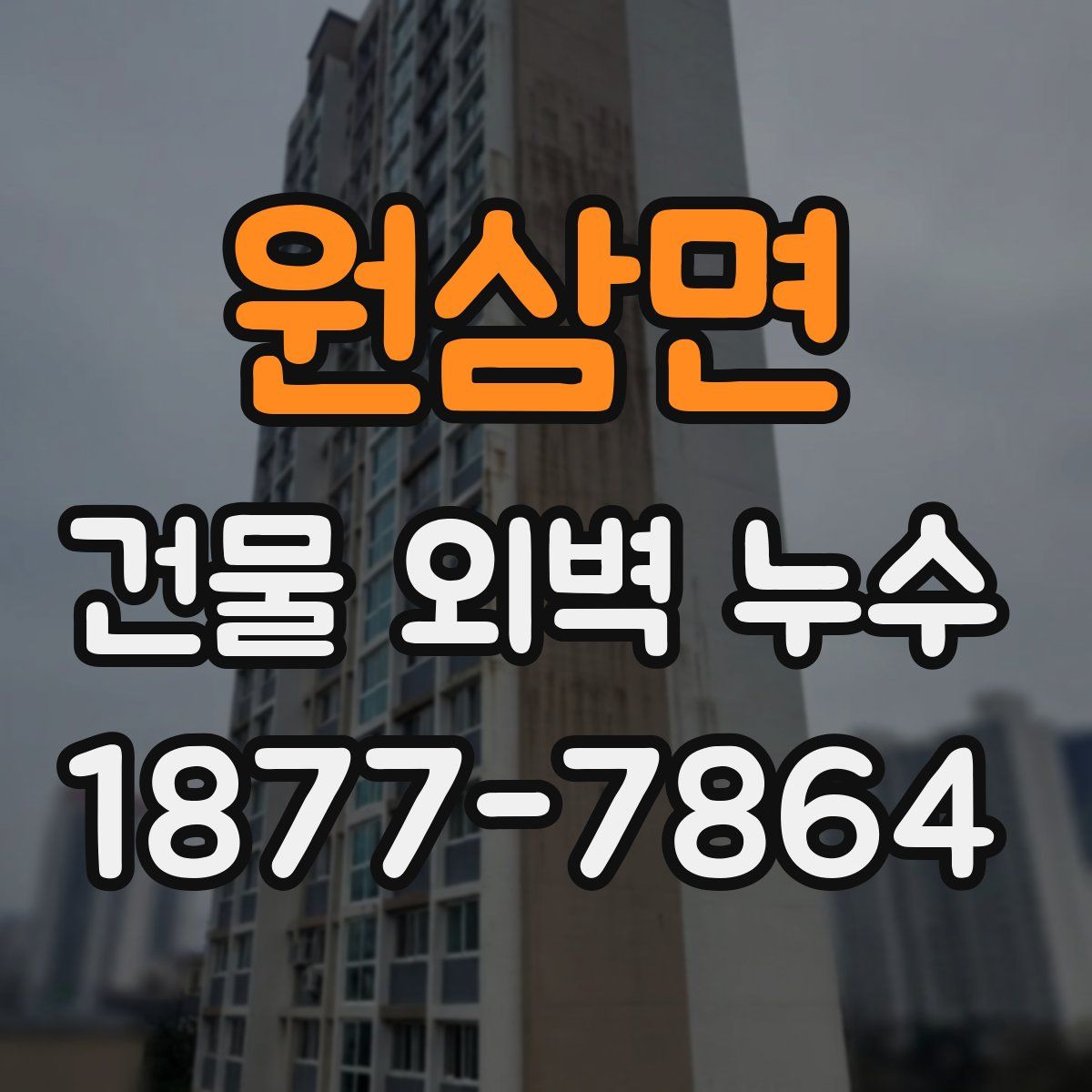 원삼면 건물 외벽 누수