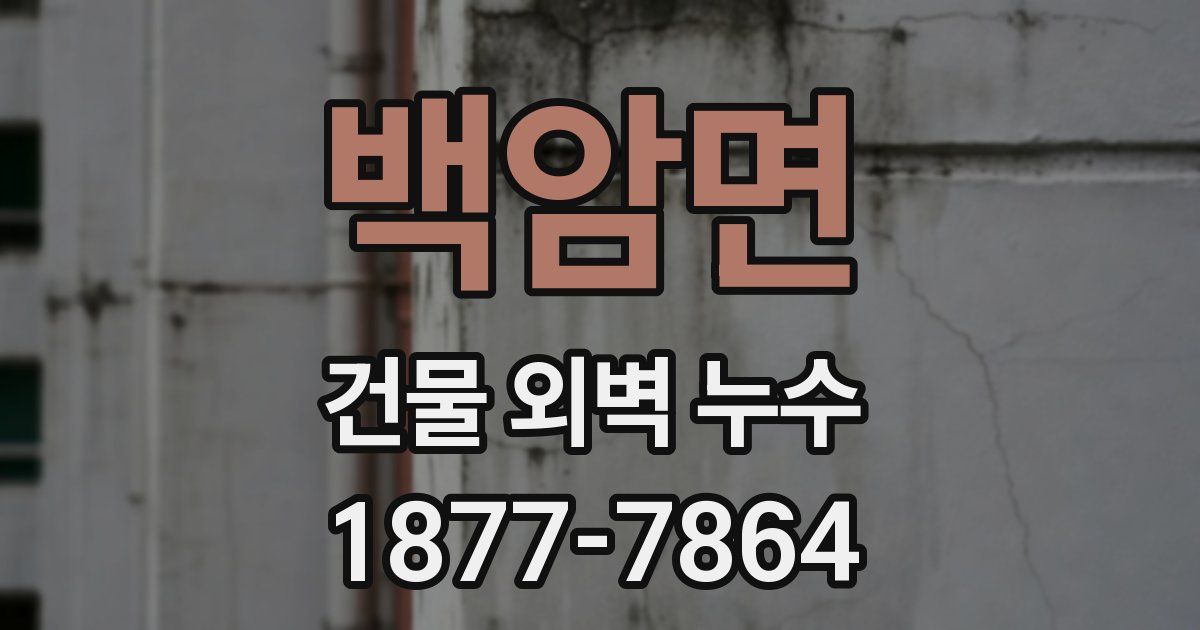 백암면 건물 외벽 누수