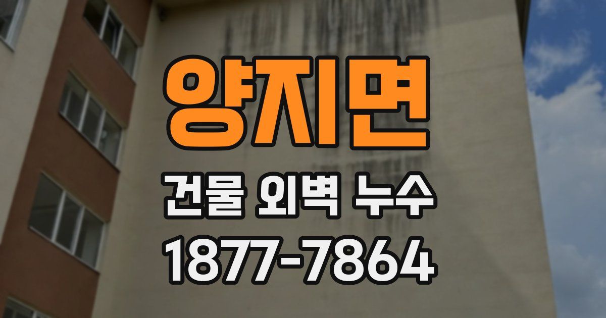 양지면 건물 외벽 누수