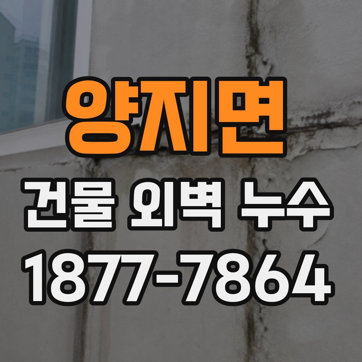 양지면 건물 외벽 누수