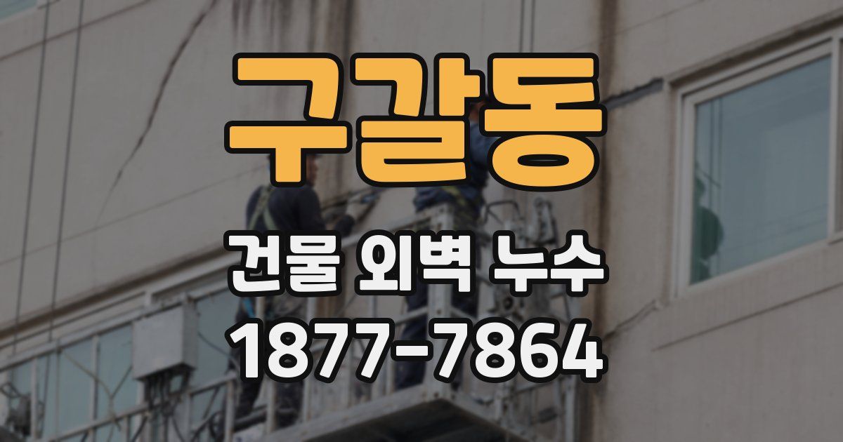 구갈동 건물 외벽 누수