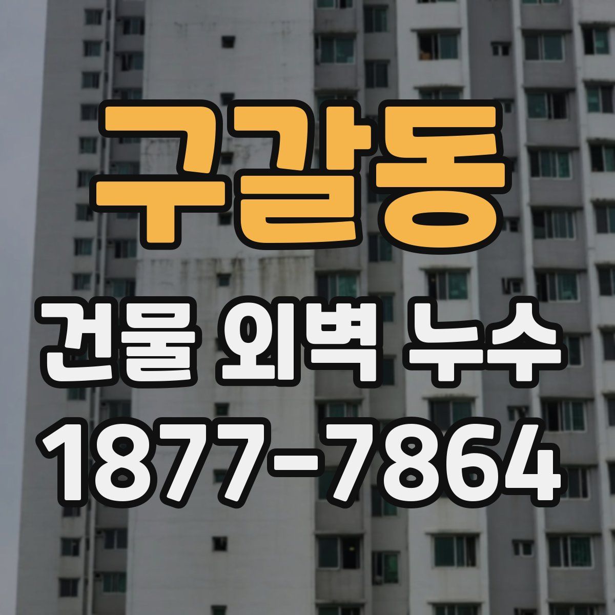 구갈동 건물 외벽 누수