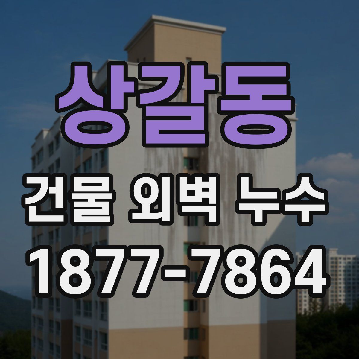 상갈동 건물 외벽 누수