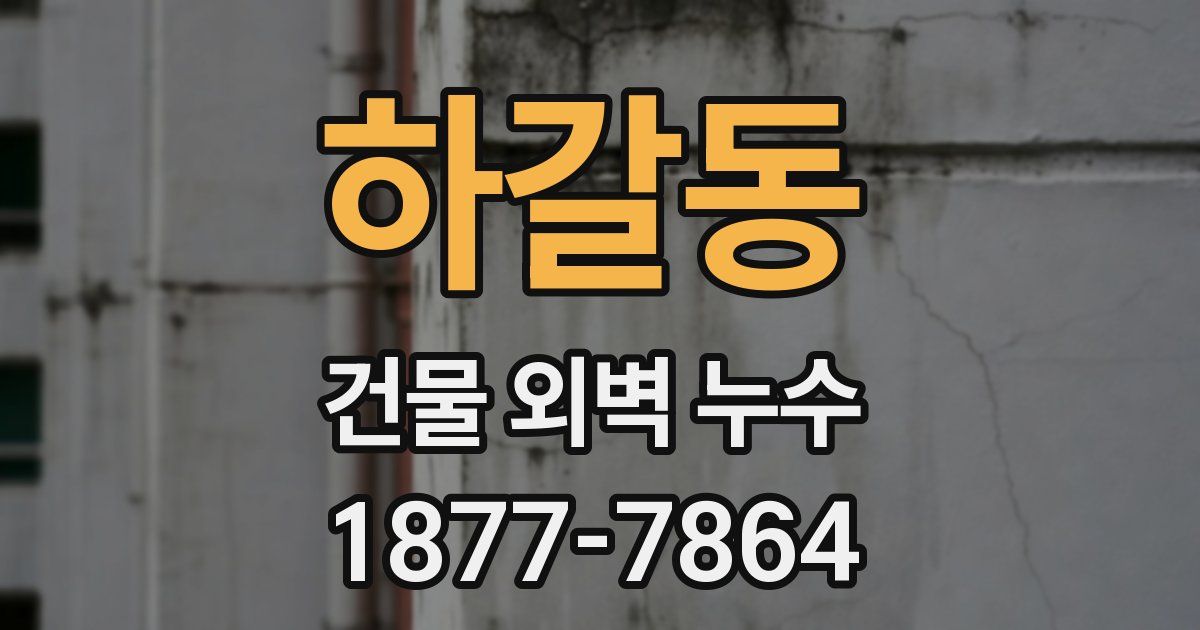 하갈동 건물 외벽 누수