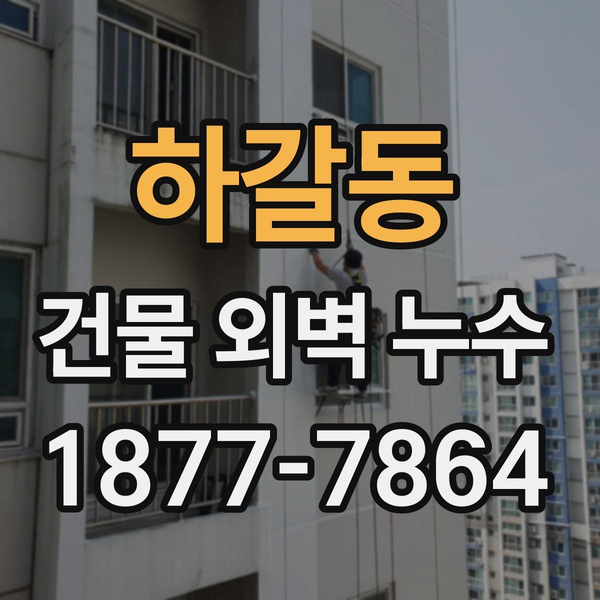 하갈동 건물 외벽 누수