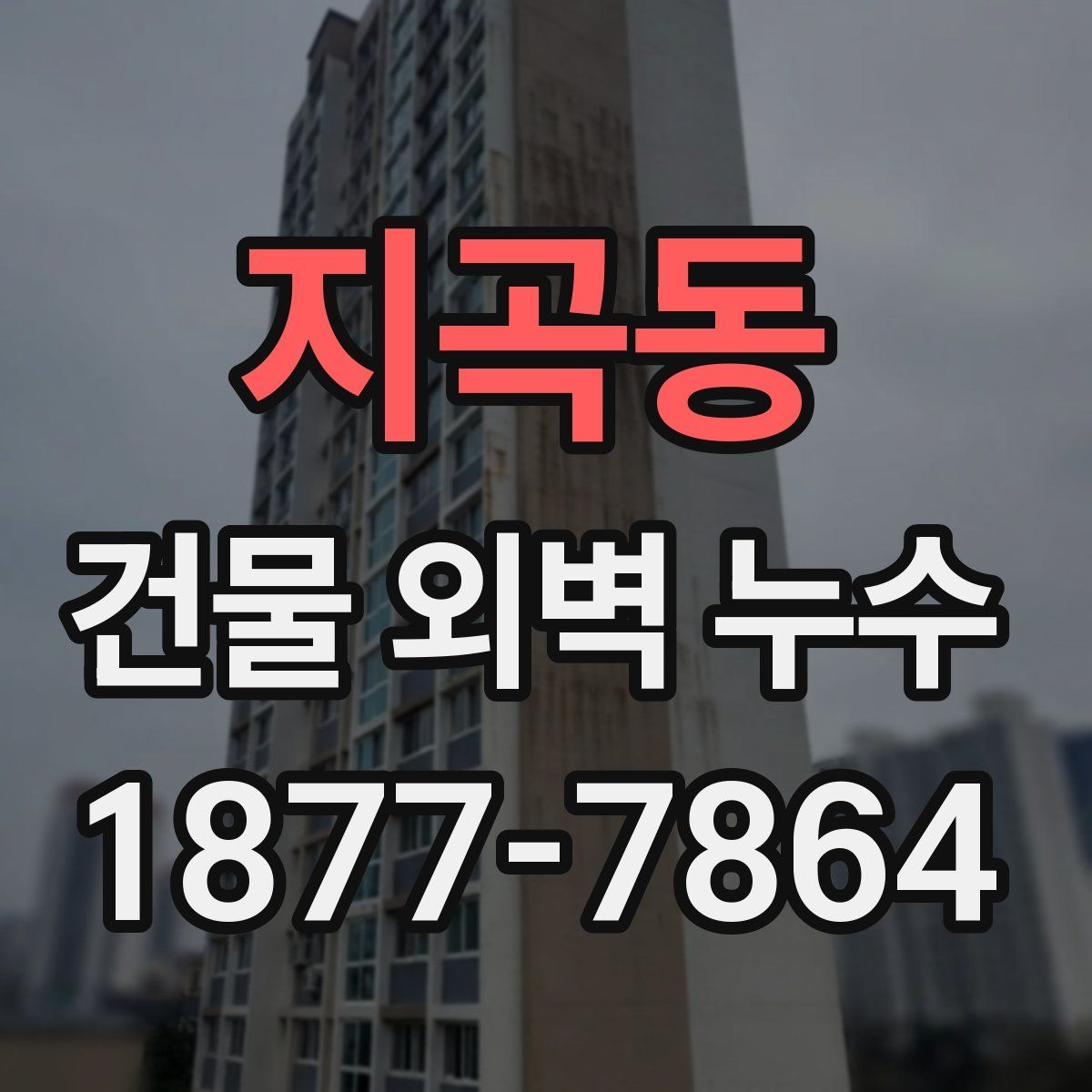 지곡동 건물 외벽 누수