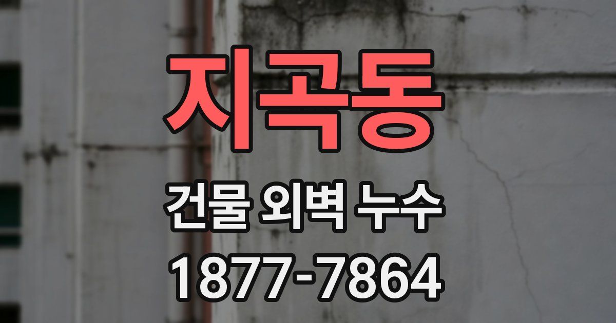 지곡동 건물 외벽 누수