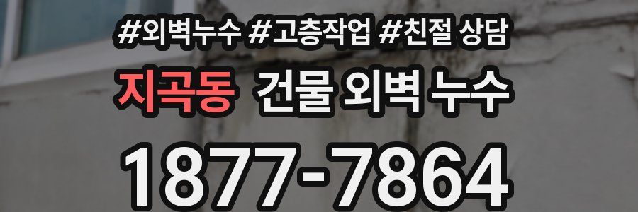 지곡동 건물 외벽 누수