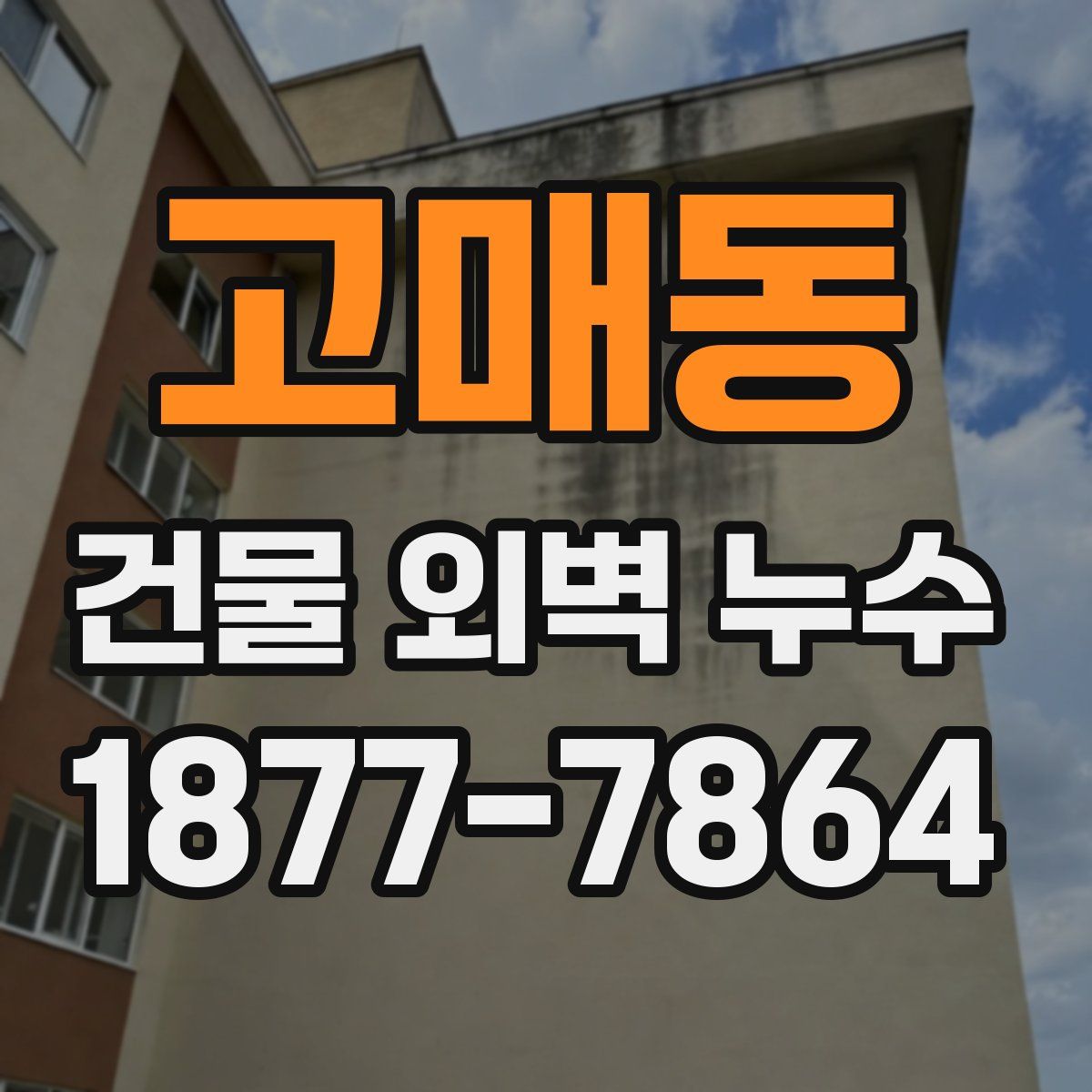 고매동 건물 외벽 누수