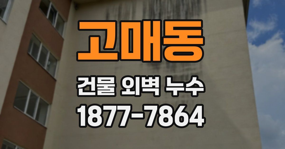 고매동 건물 외벽 누수