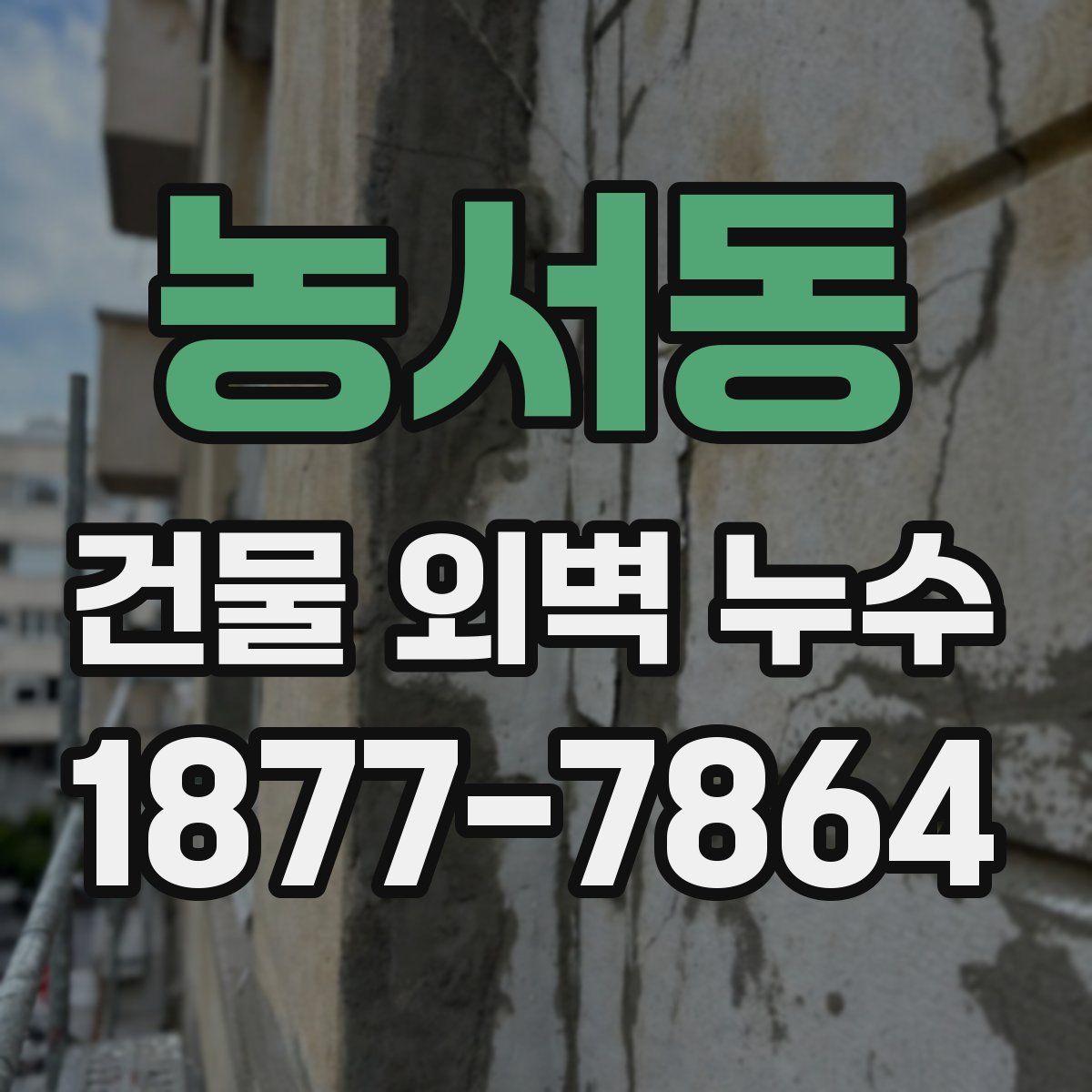 농서동 건물 외벽 누수
