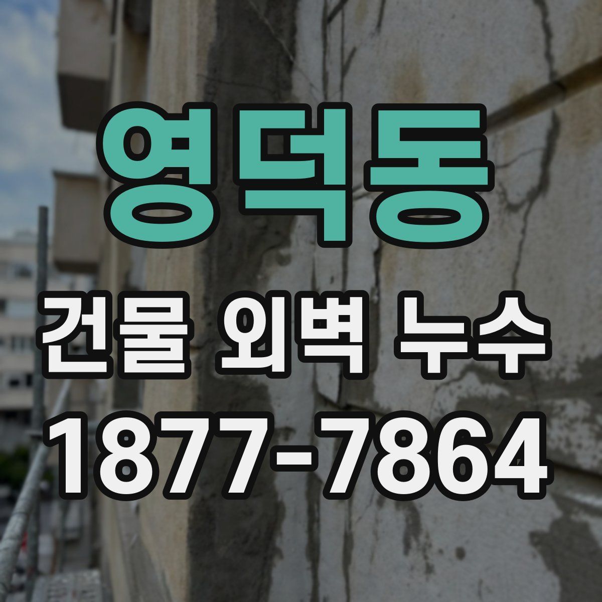 영덕동 건물 외벽 누수