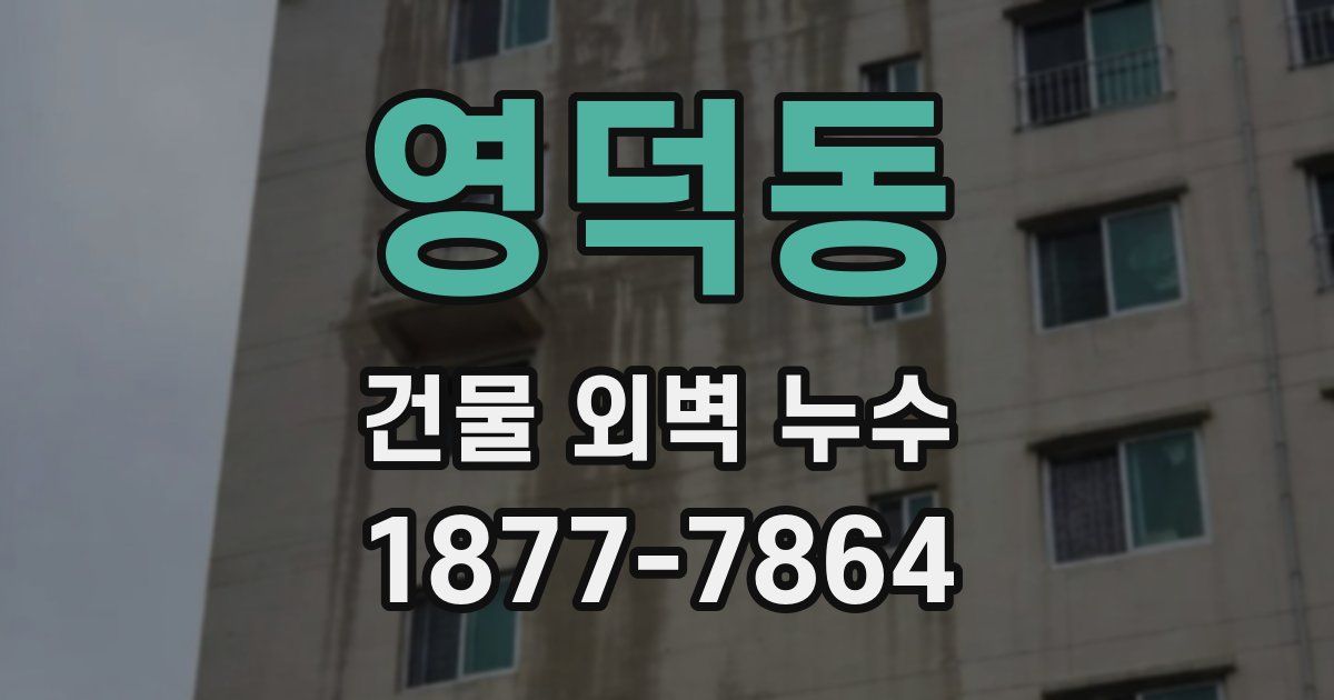 영덕동 건물 외벽 누수