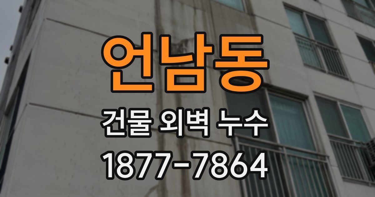 언남동 건물 외벽 누수