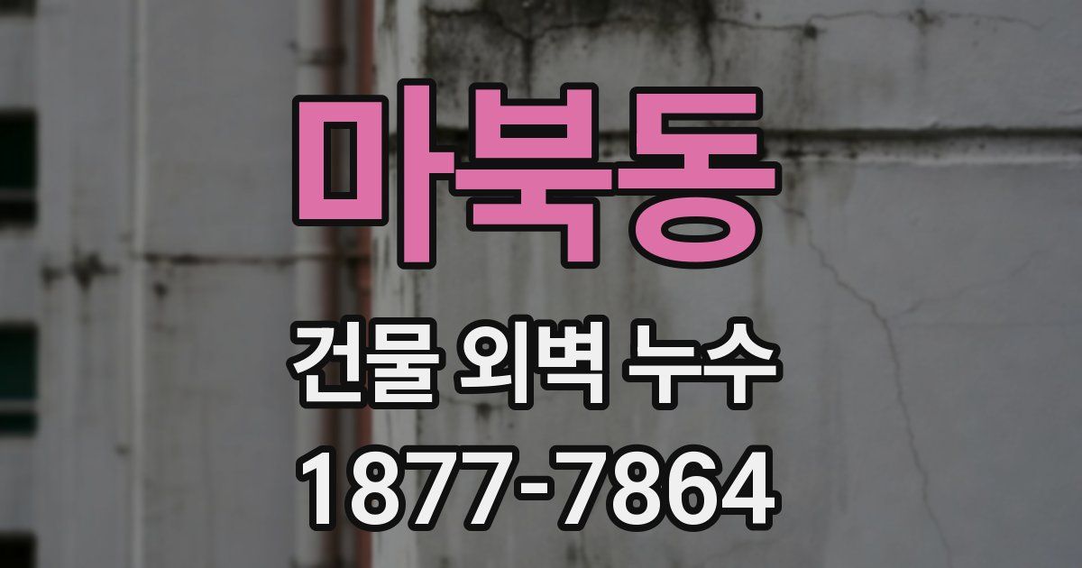 마북동 건물 외벽 누수