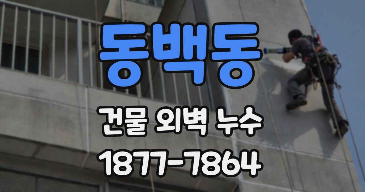 동백동 건물 외벽 누수
