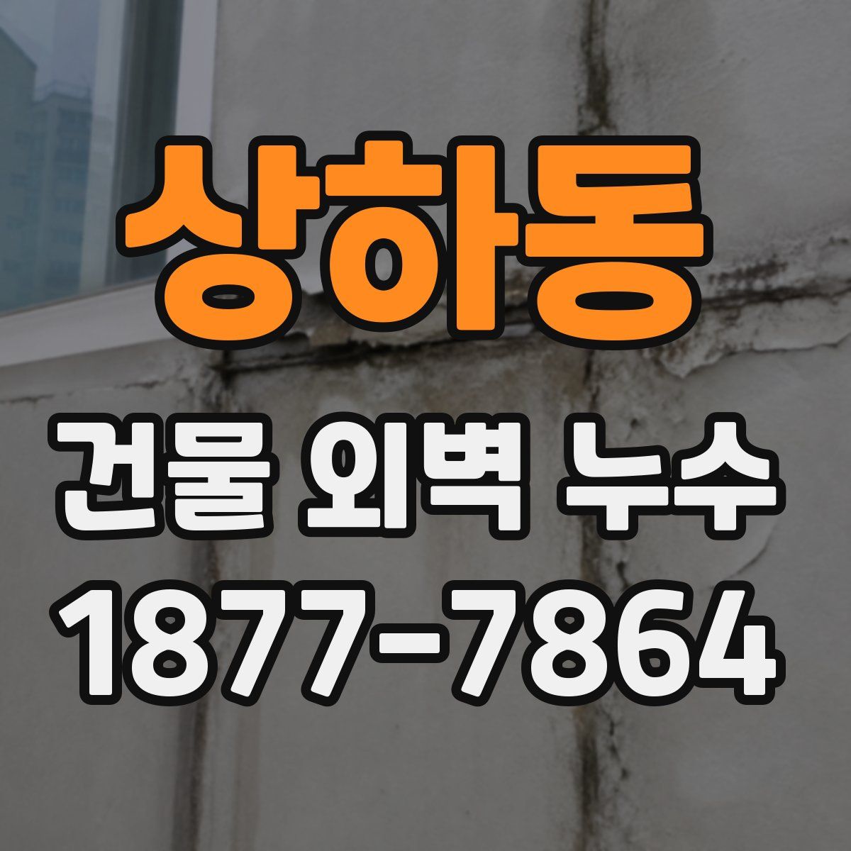 상하동 건물 외벽 누수