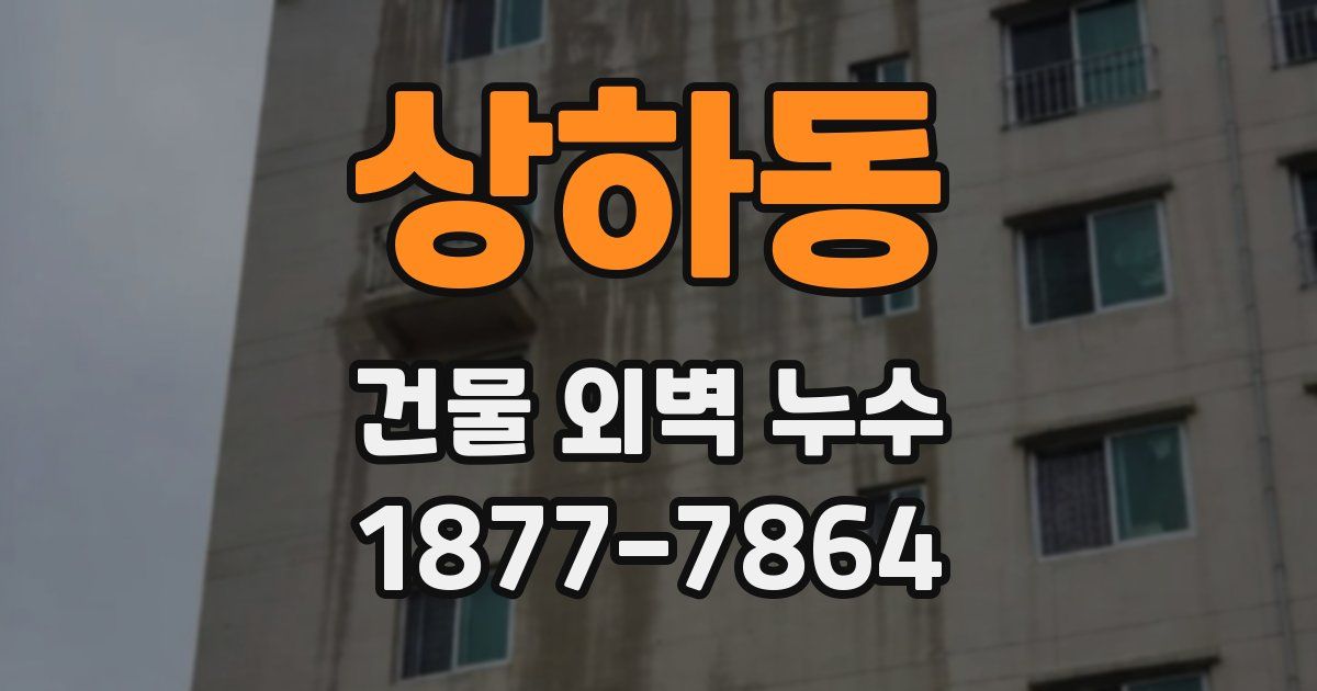 상하동 건물 외벽 누수