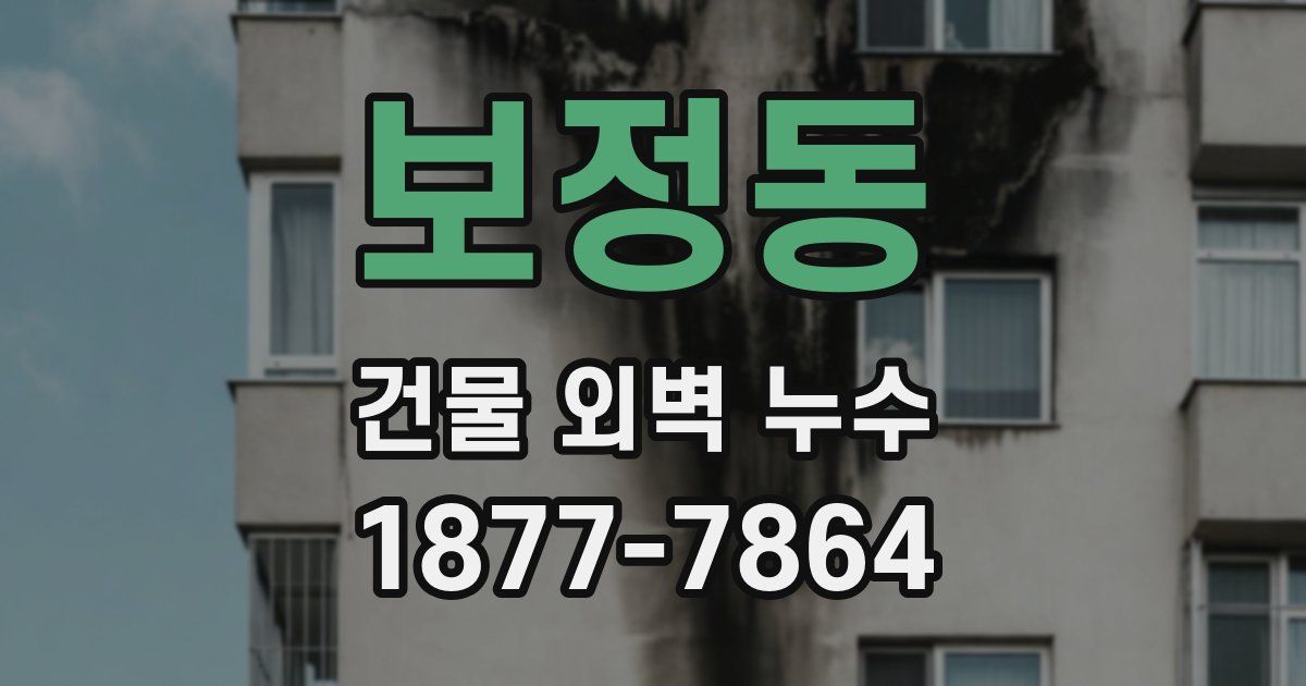 보정동 건물 외벽 누수