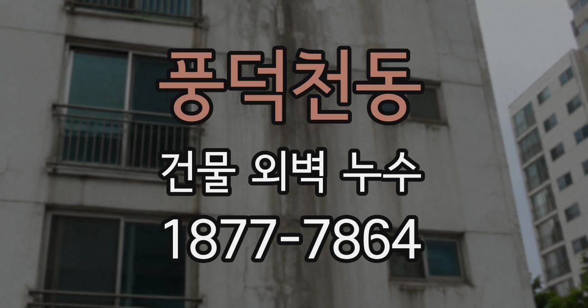 풍덕천동 건물 외벽 누수