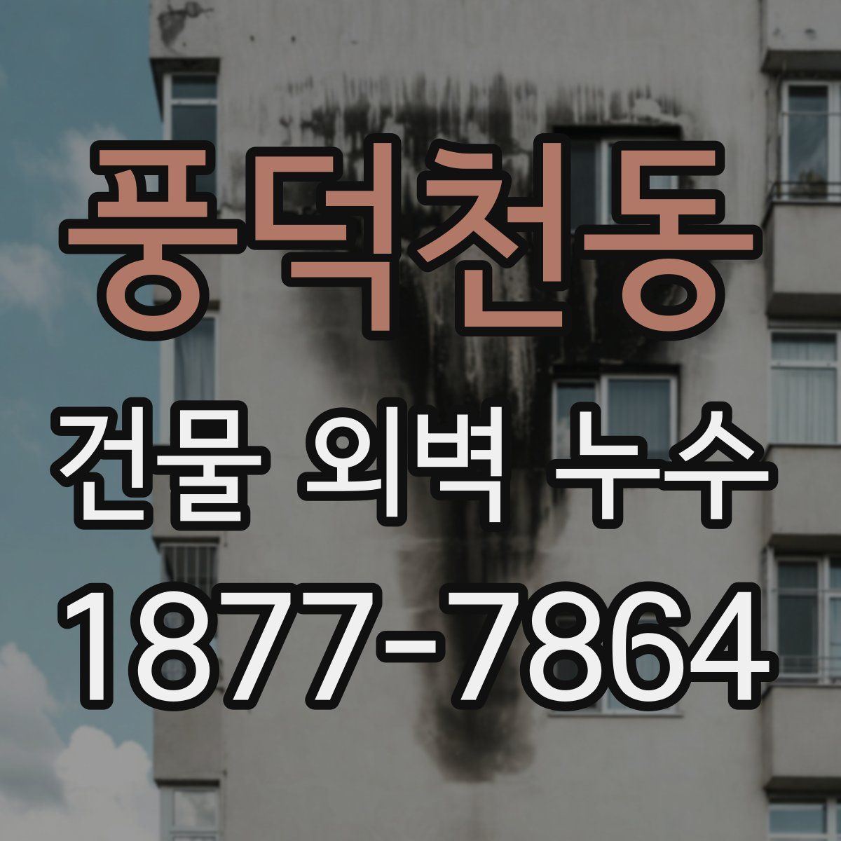 풍덕천동 건물 외벽 누수