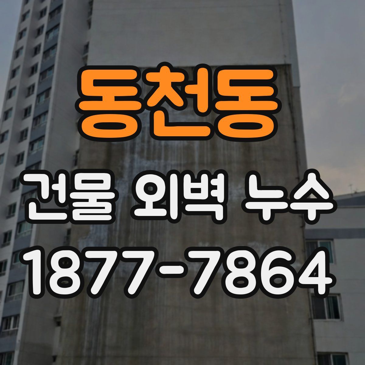 동천동 건물 외벽 누수