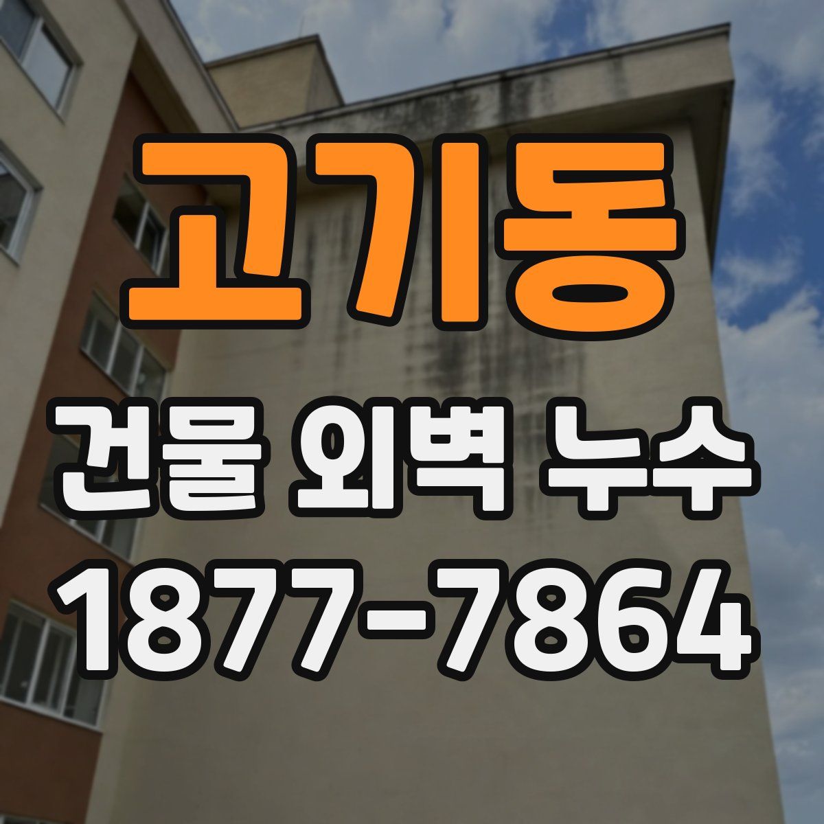 고기동 건물 외벽 누수