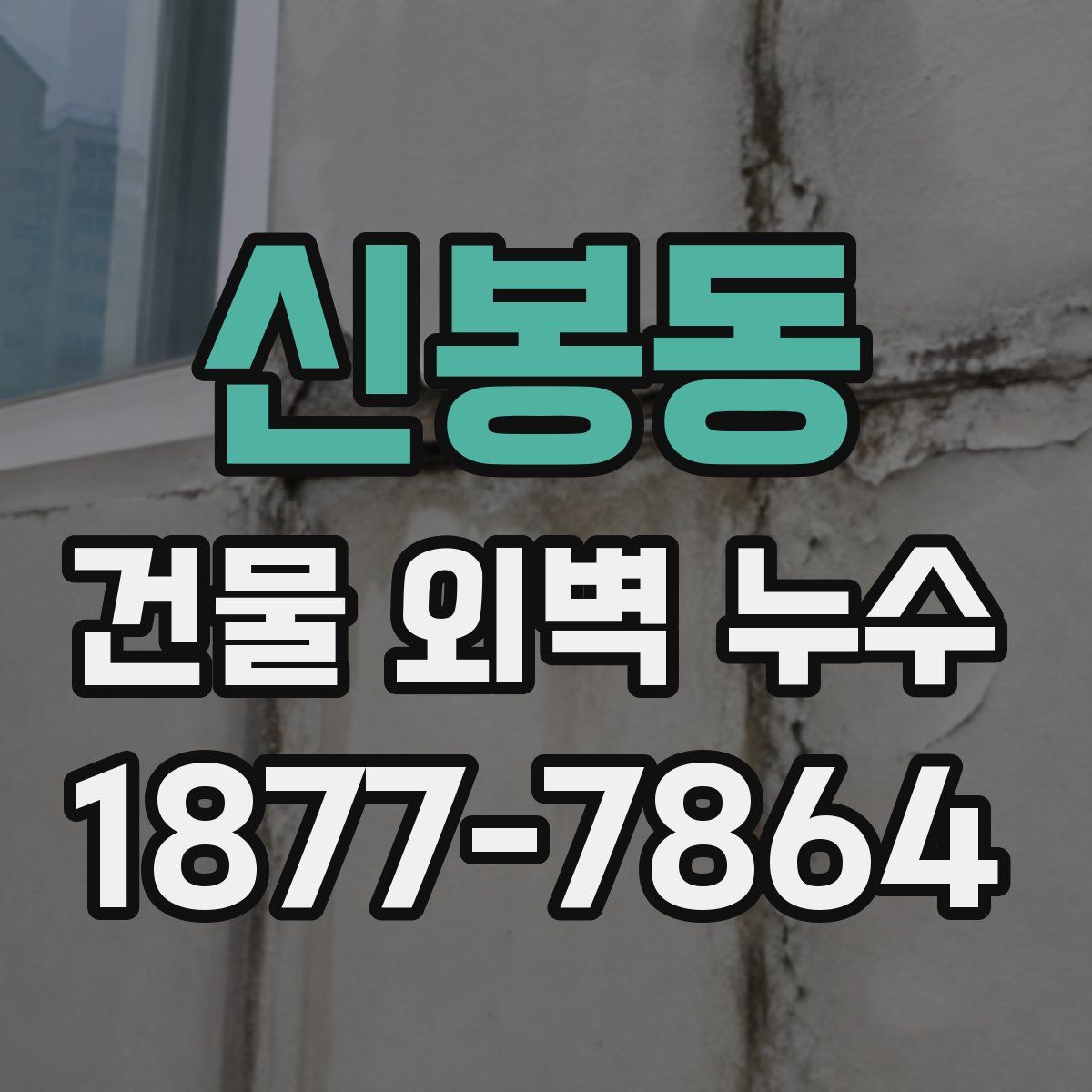신봉동 건물 외벽 누수
