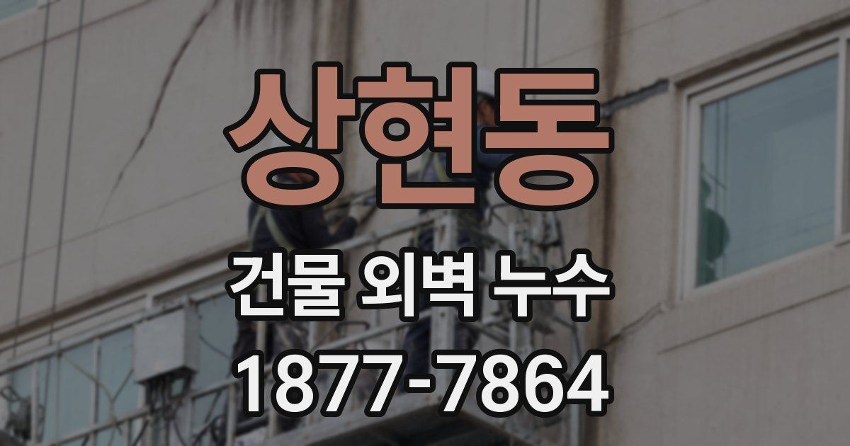 상현동 건물 외벽 누수