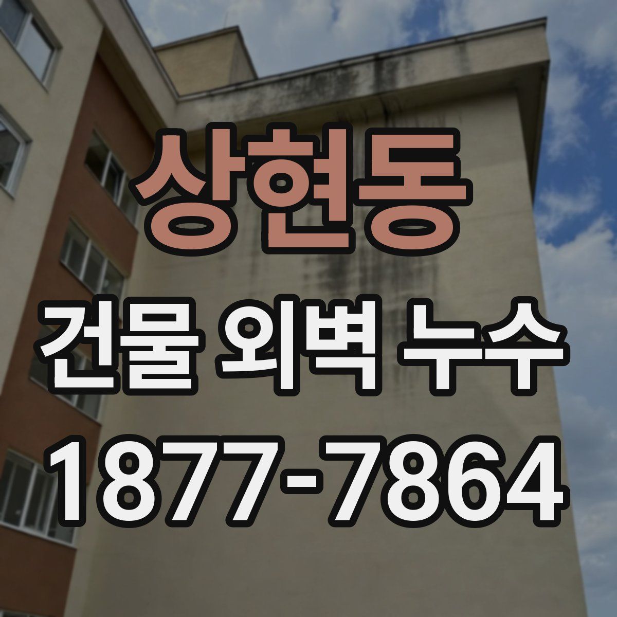 상현동 건물 외벽 누수