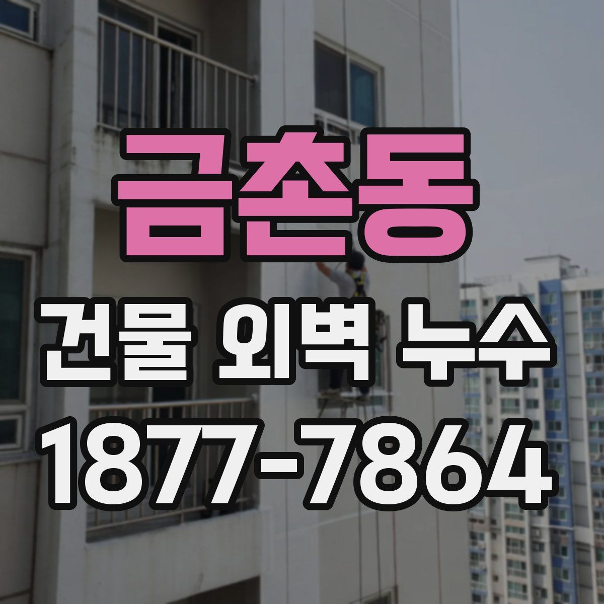 금촌동 건물 외벽 누수