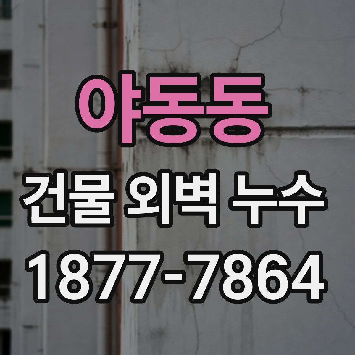 야동동 건물 외벽 누수 예방을 위한 계절별 점검