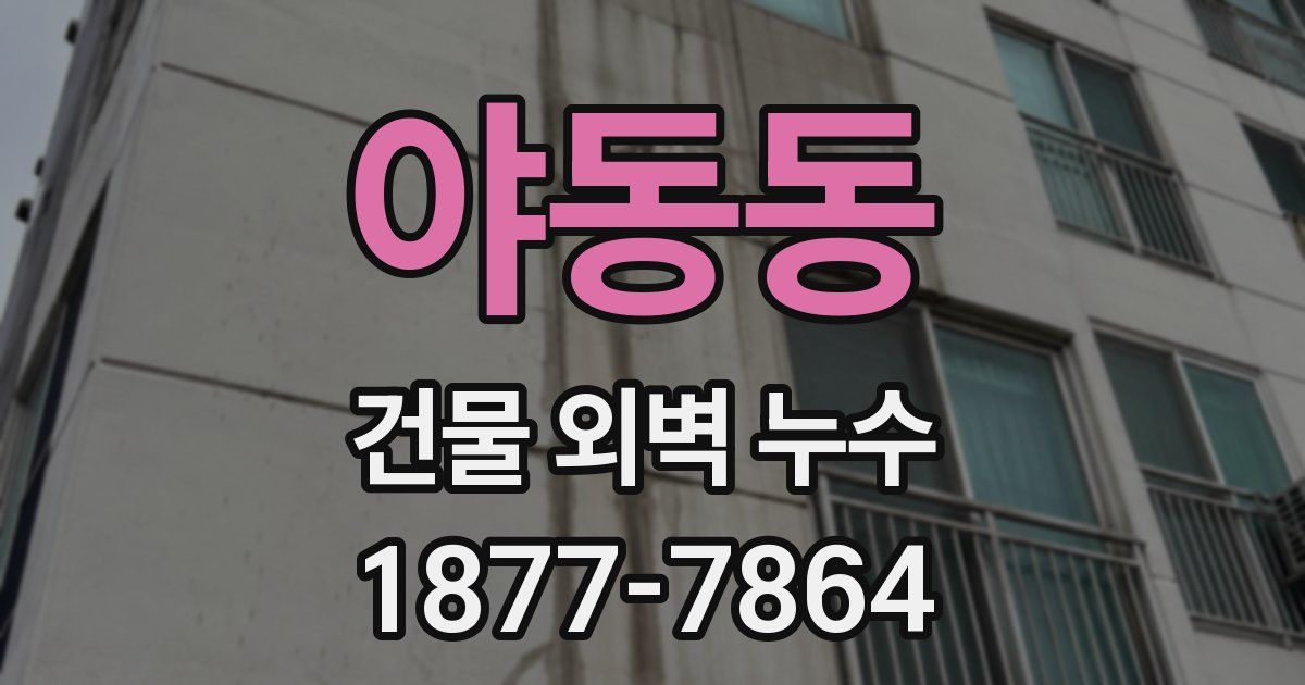 야동동 건물 외벽 누수