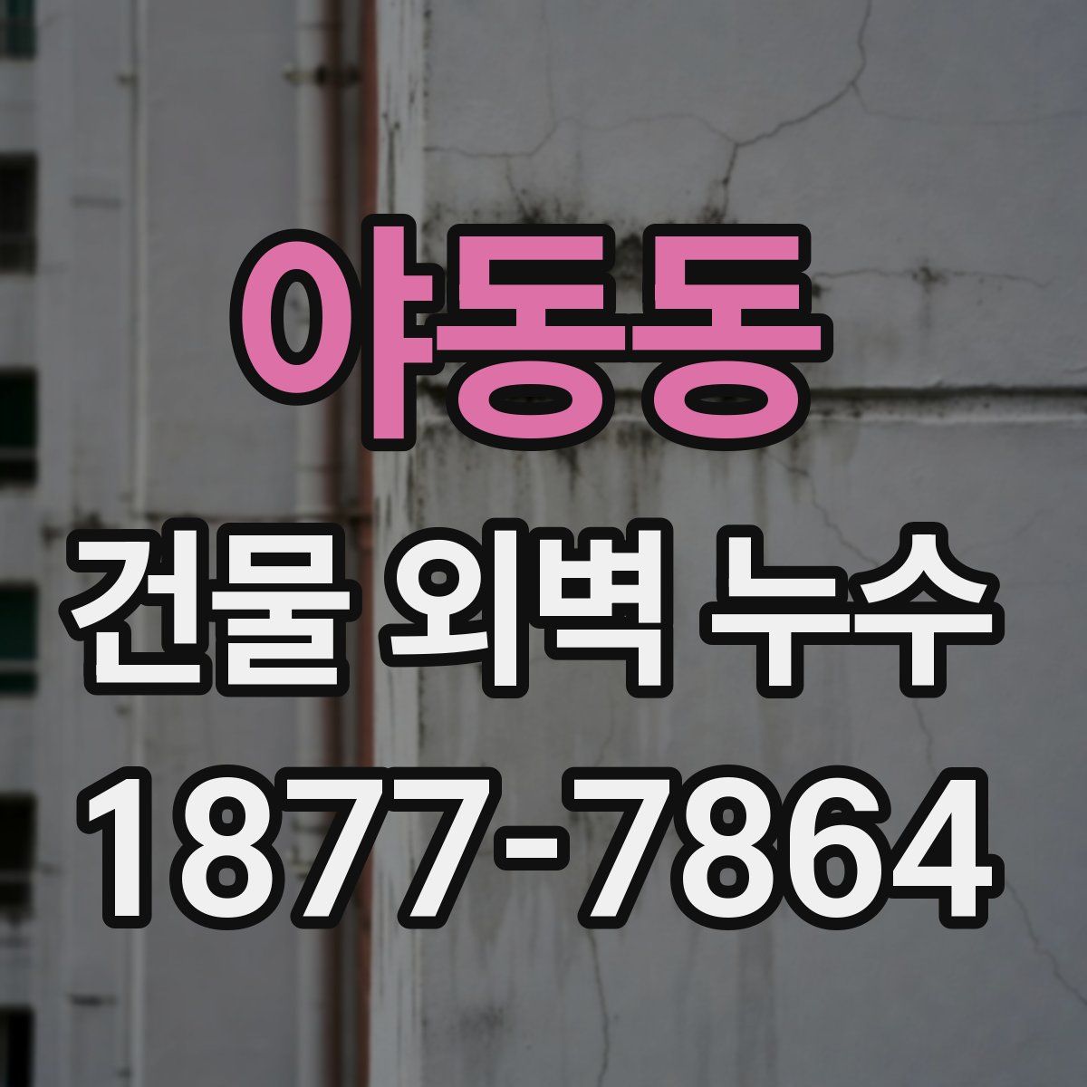 야동동 건물 외벽 누수