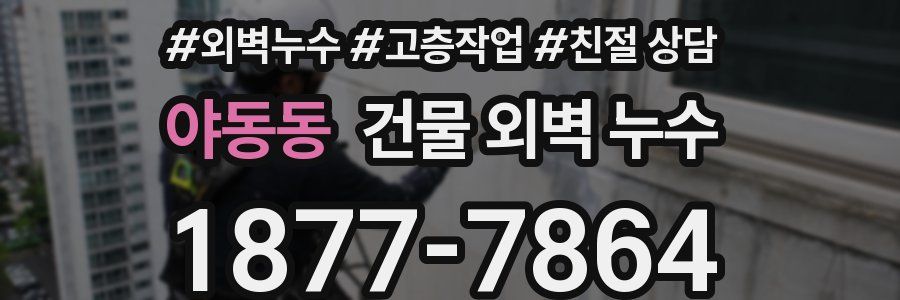 야동동 건물 외벽 누수