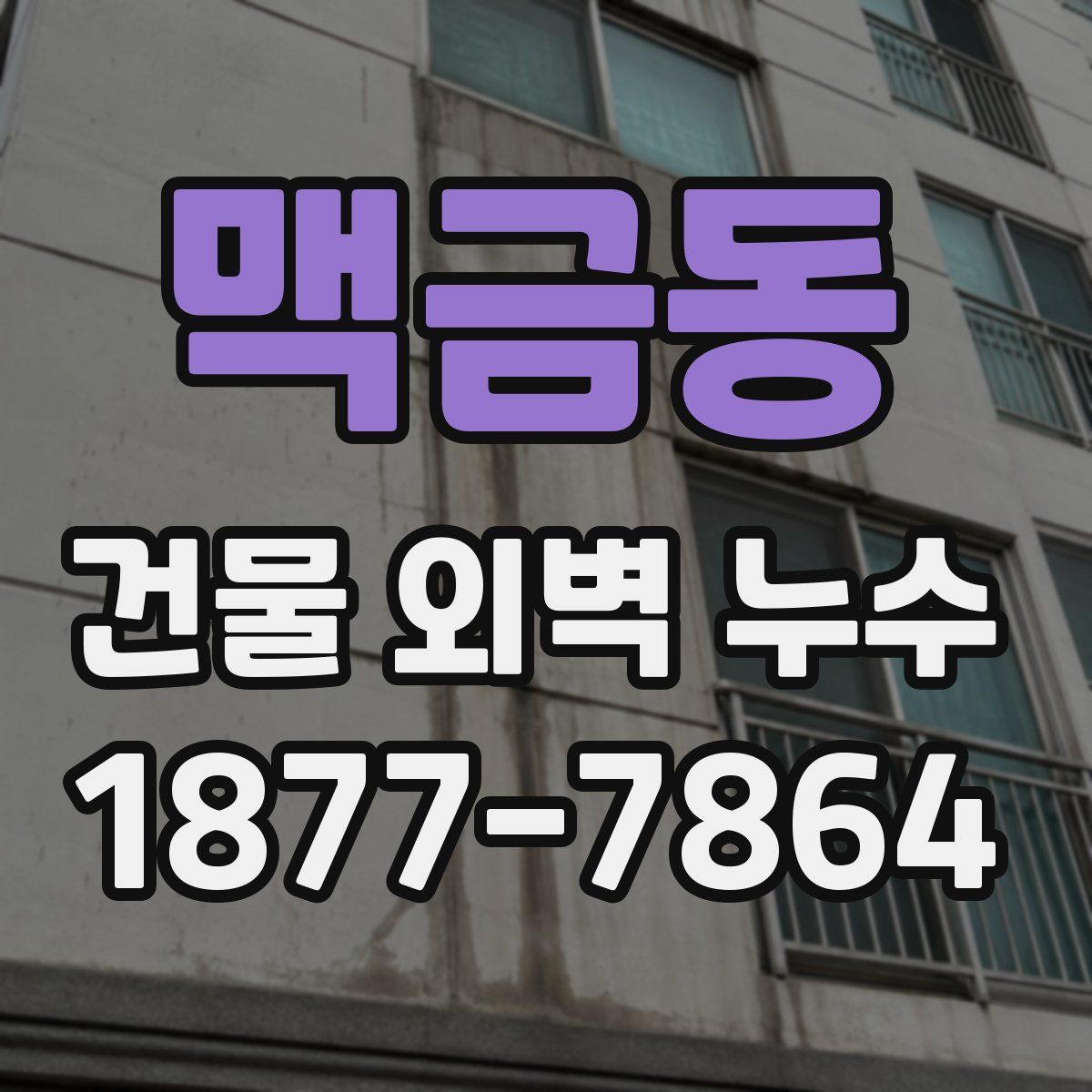 맥금동 건물 외벽 누수