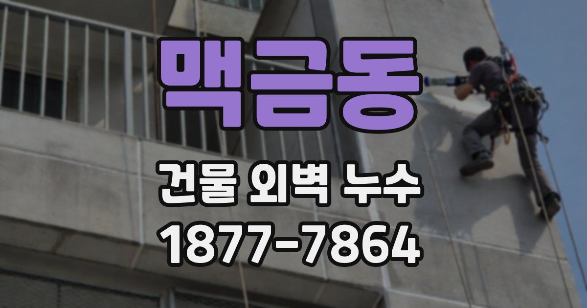 맥금동 건물 외벽 누수