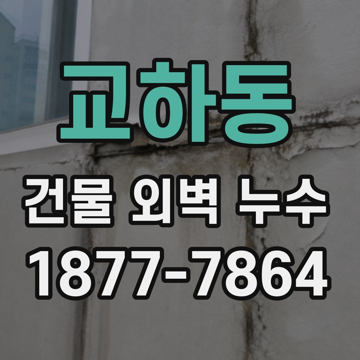 교하동 건물 외벽 누수