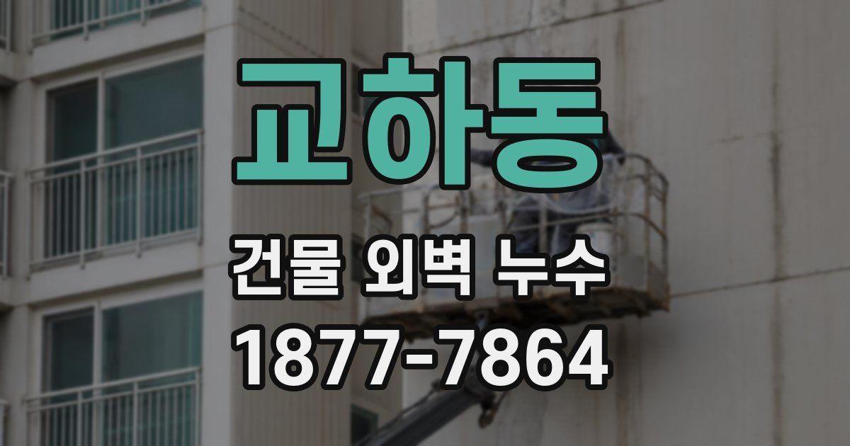 교하동 건물 외벽 누수