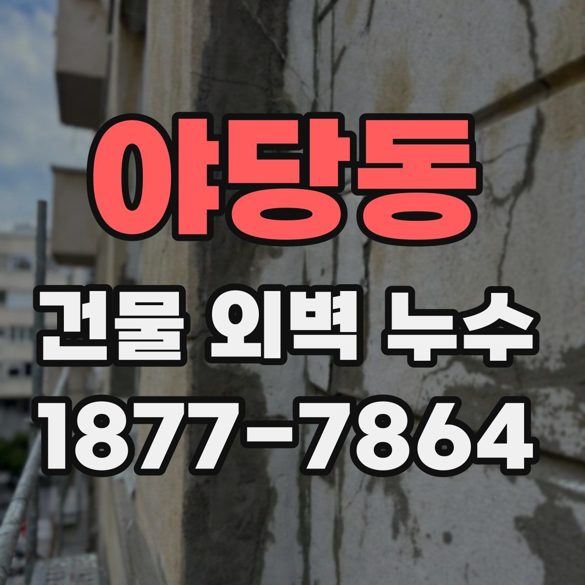 야당동 건물 외벽 누수