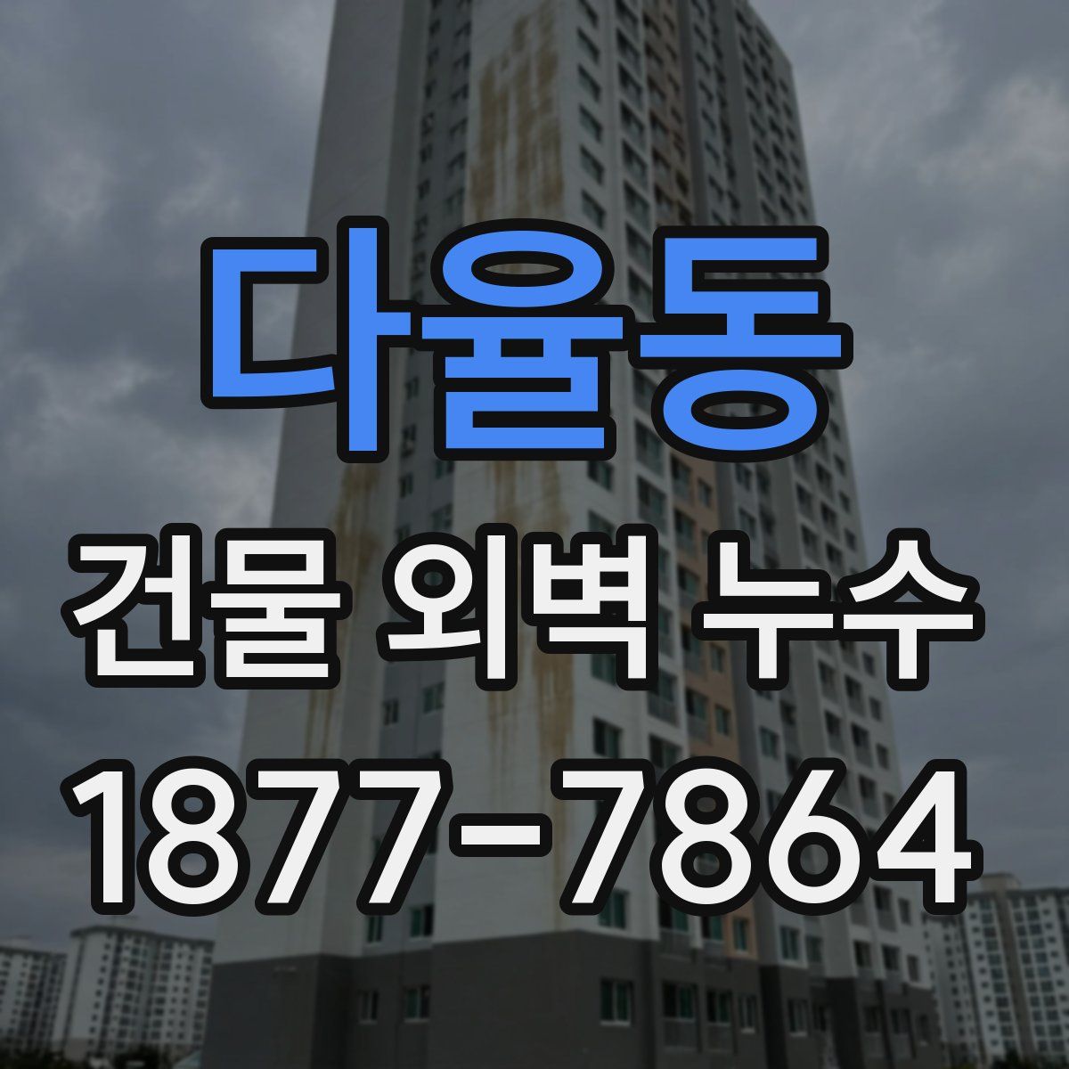 다율동 건물 외벽 누수