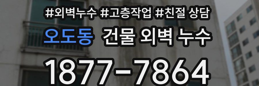 오도동 건물 외벽 누수