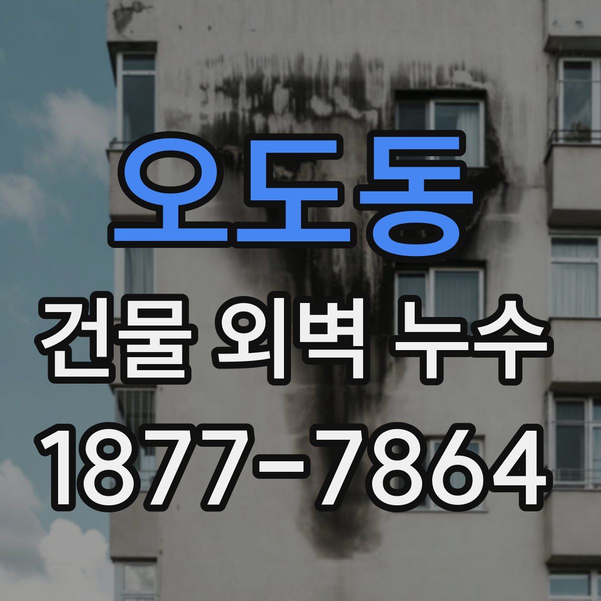 오도동 건물 외벽 누수