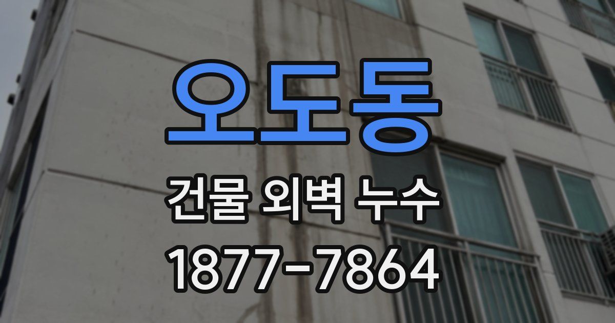 오도동 건물 외벽 누수