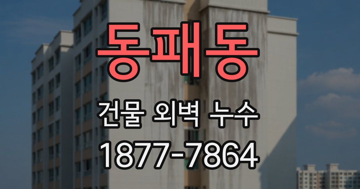 동패동 건물 외벽 누수