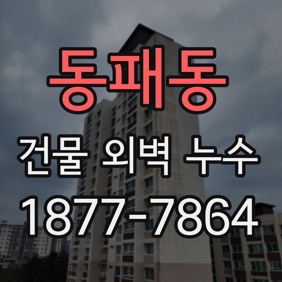 동패동 건물 외벽 누수