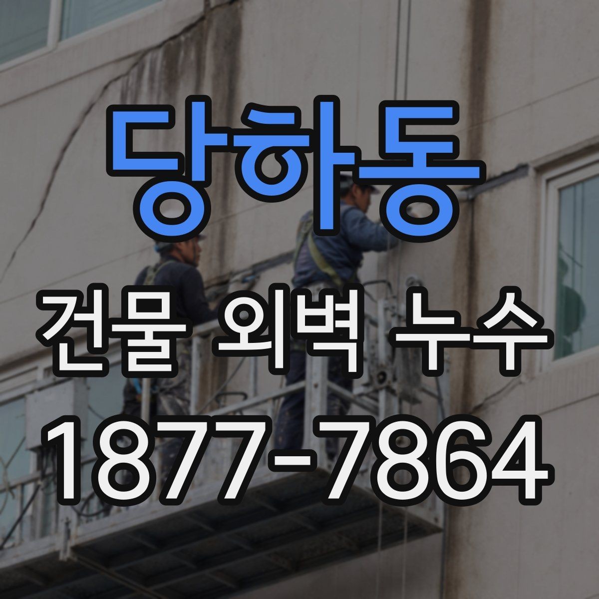 당하동 건물 외벽 누수 발생 위치에 따른 원인 차이